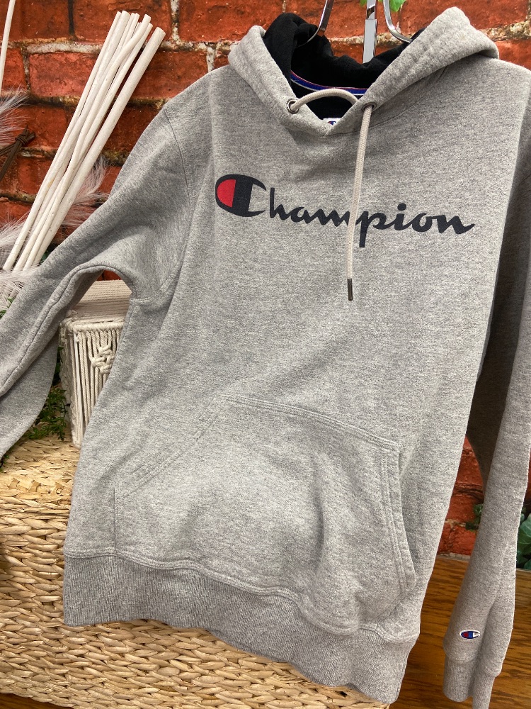 Adult champion hoodie