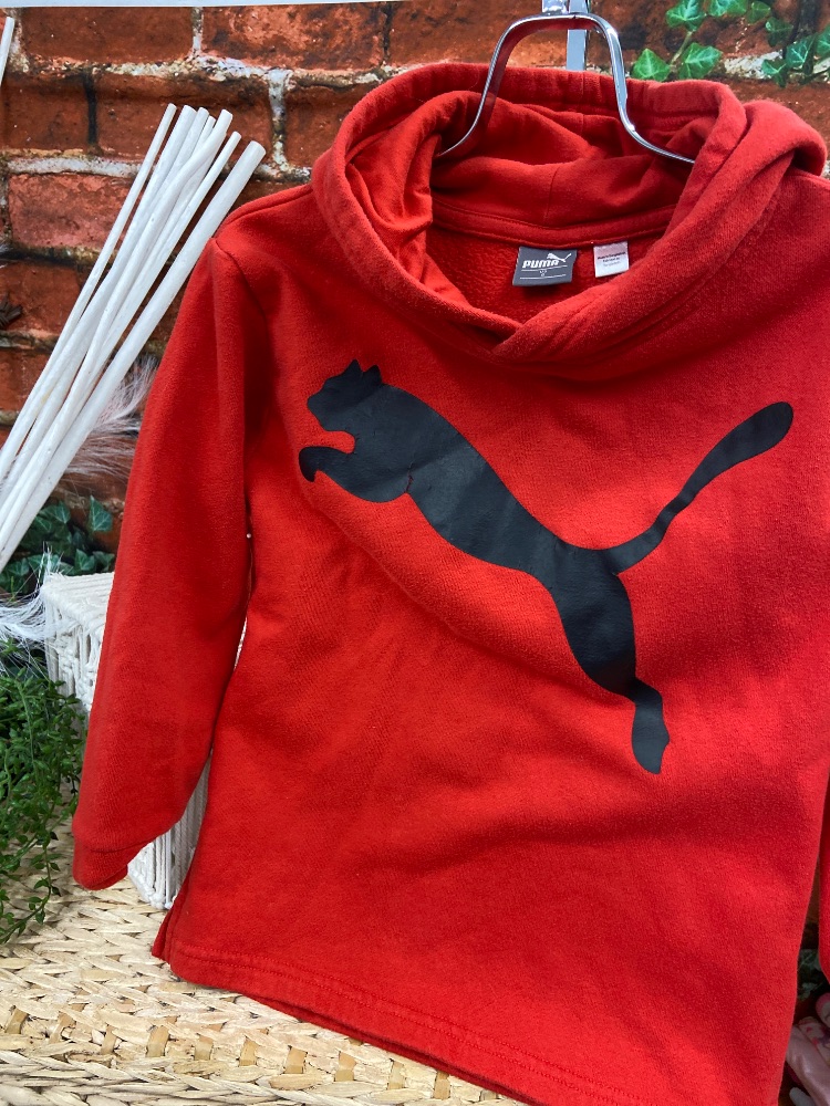 Puma toddler hoodie